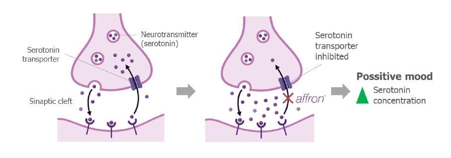 Zdravy svet Lipozomalna Ashwagandha plus popis kosti